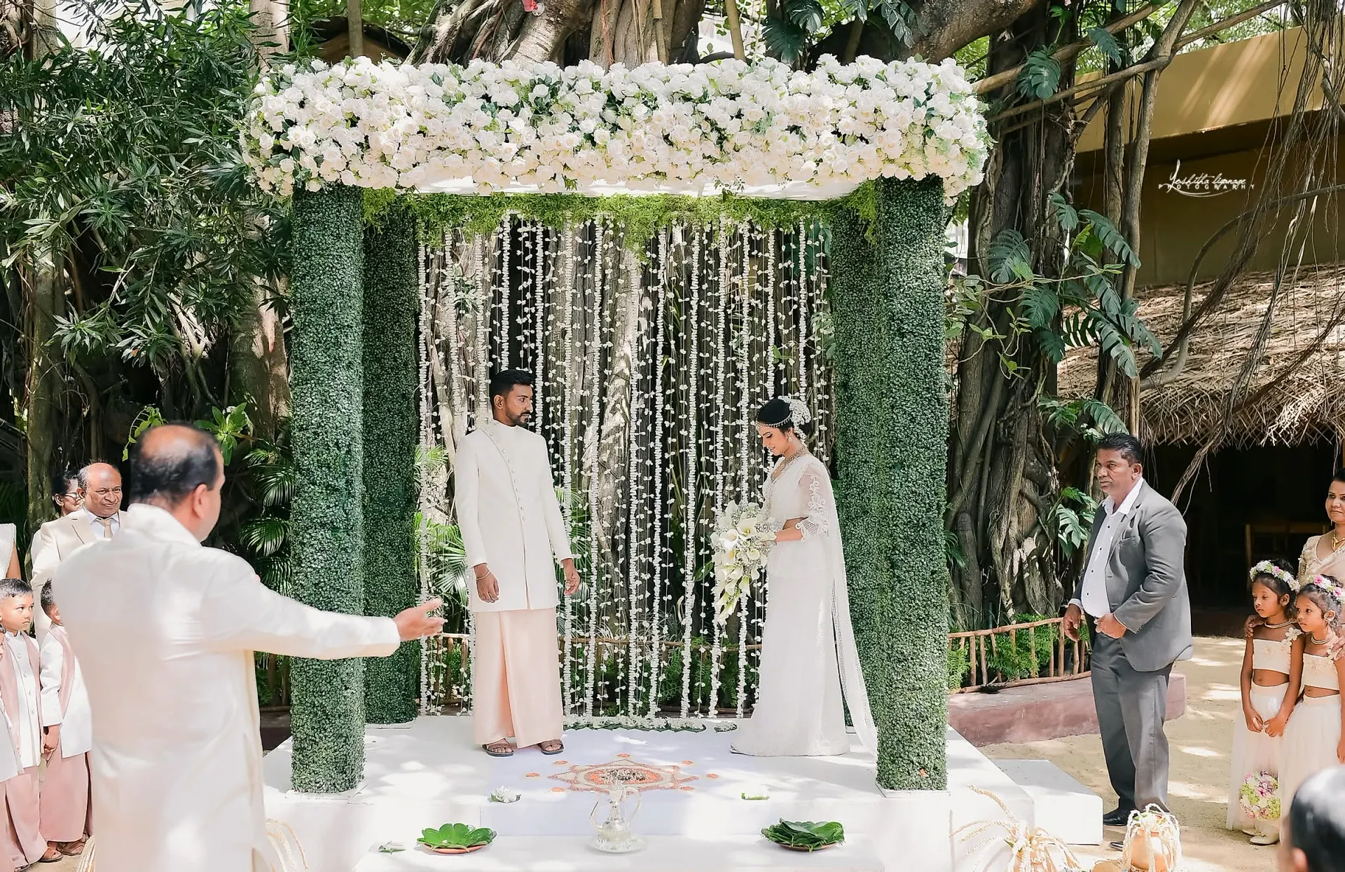 Banyan Tree Floral Mandap Ceremony at Heritage Garden, Colombo, Sri Lanka